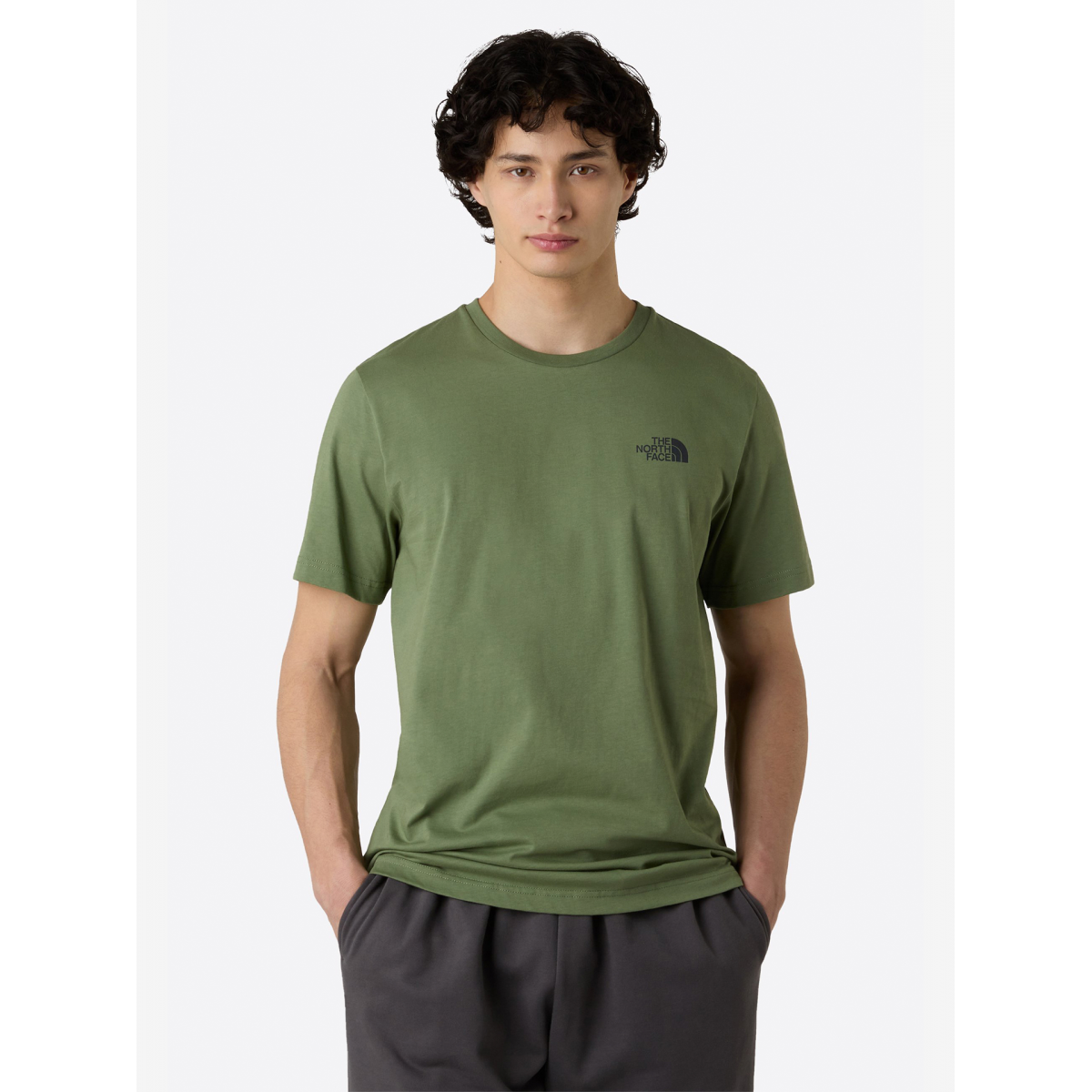 The North Face Mountain Sketch Green T-shirt - NF0A8EE8BO9 - BZR Online